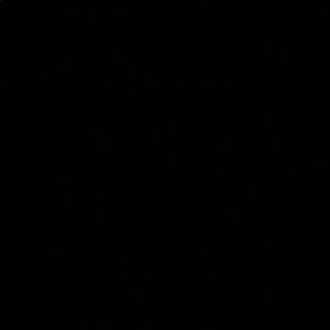 Meet your Posher, Ricardo